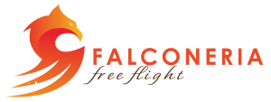 logo falconeria free flight venezia